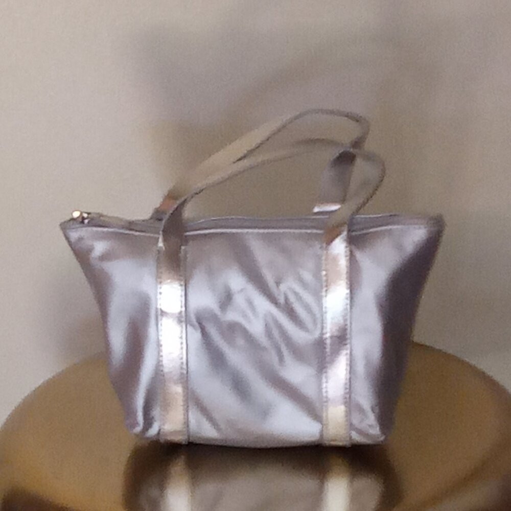 Silver Metallic Bag